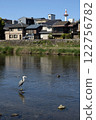 鴨川、京都塔和藍鷺 122756782