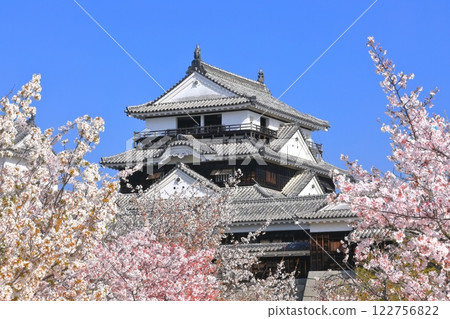 [愛媛縣]櫻花盛開的松山城天守閣 122756822