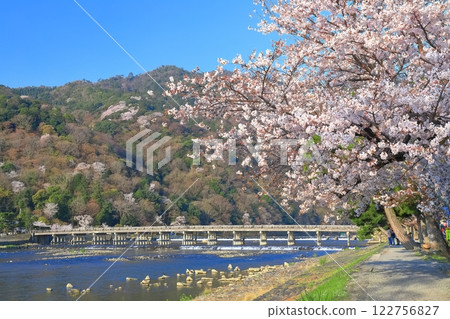 【京都】櫻花盛開與嵐山渡月橋 【京都】櫻花盛開與嵐山渡月橋 122756827