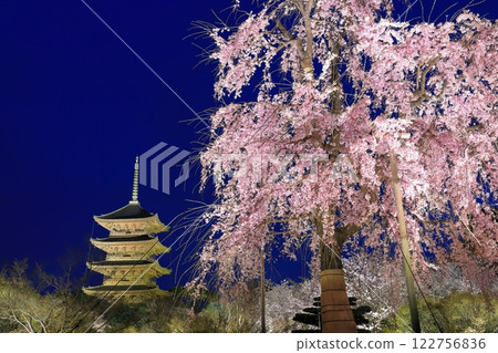 [京都] 燈火通明的東寺和富士櫻花（特別夜遊） 122756836