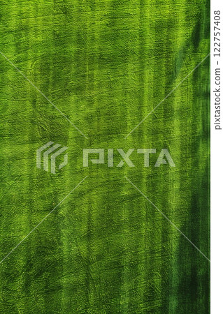 Aerial View of a Lush Green Forest Canopy with Sunlit Pathways offering a serene and breathtaking natural scenery 122757408