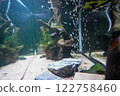 水族館景觀 122758460