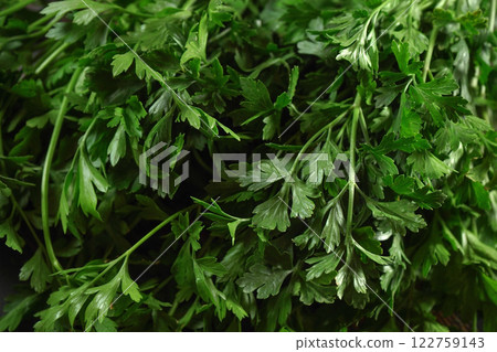 Green parsley leaves, used as herb / spice in kitchen, closeup photo 122759143