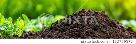 Close-up of compost heap with rich soil, natural recycling, backyard gardening, 122759572