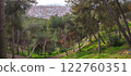Scenic park landscape around Gibralfaro castle in Malaga, Spain 122760351