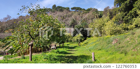 Scenic view of La Concepcion Botanical Garden, Malaga, Spain 122760353