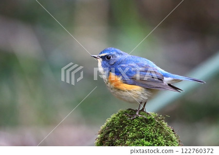 里山R人 122760372