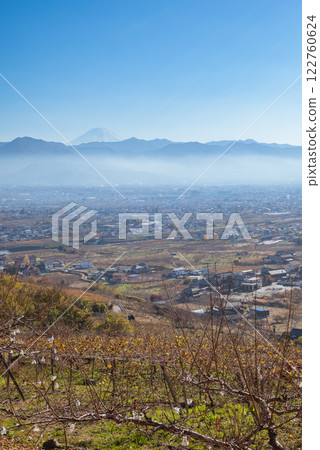 View of the Kofu Basin and Mt. Fuji from the Fruit Line [Yamanashi City] 122760624