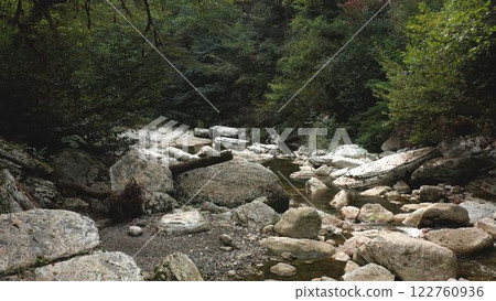 Fallen tree trunk creating natural bridge over forest stream Fallen tree trunk creating natural bridge over forest stream 122760936