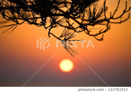 The red sunset spilling out from the pine trees The red sunset spilling out from the pine trees 122761912