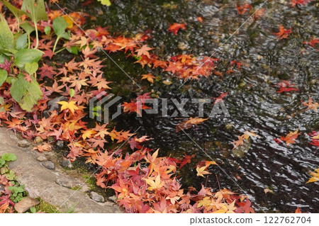 Autumn leaves floating in water 122762704