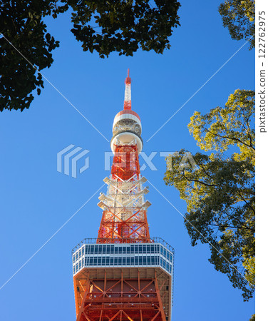 被樹木環繞的東京鐵塔 被樹木環繞的東京鐵塔 122762975