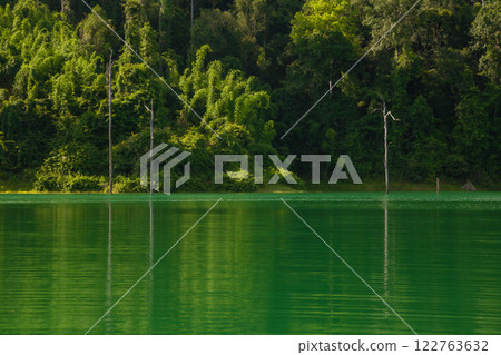 forest, lake, rafting 122763632
