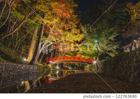 森町（靜岡縣）富富國一宮大國神社的紅葉彩燈映照下的橋景 122763690