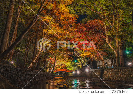 森町（靜岡縣）富富國一宮大國神社的紅葉彩燈映照下的橋景 122763691