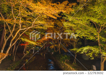 A bridge at Oguni Shrine, Ichinomiya, Totomi Province, in Morimachi, illuminated by the autumn leaves (Shizuoka Prefecture) 122763692