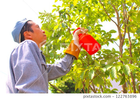 Insecticide for garden trees 122763896