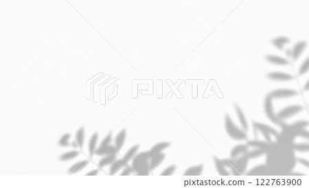 White background and shadow of the plant White background and shadow of the plant 122763900