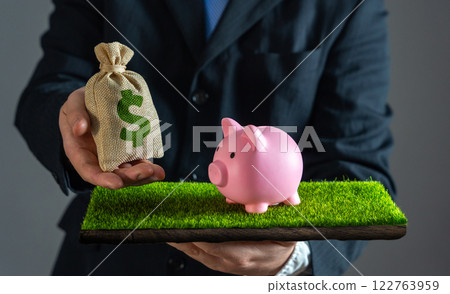 A businessman hands a dollar money bag to a piggy bank that is released on the grass. Saving money, investment strategies, wealth accumulation. Smart budgeting, and long-term financial planning. A businessman hands a dollar money bag to a piggy bank that is released on the grass. Saving money, investment strategies, wealth accumulation. Smart budgeting, and long-term financial planning. 122763959