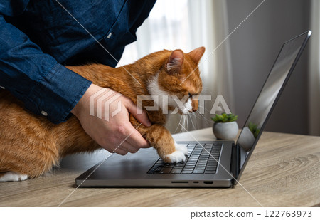 A man helps a cat press the keys of a laptop. Playing and joking with pets. Anonymity on the Internet. Shopping for pet products. Cybersecurity 122763973
