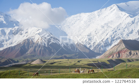 Nomadic horses grazing in green valley under huge snowy Pamir Mountains in backdrop, Kyrgyzstan 122764516