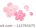 櫻花花瓣水彩插圖02 122765075