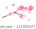 櫻花枝水彩插畫 122765077