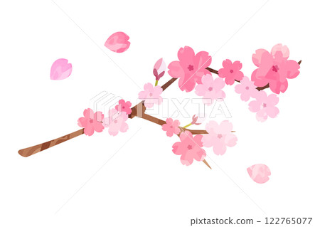 櫻花枝水彩插畫 122765077