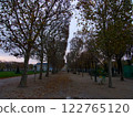 Winter trees 122765120
