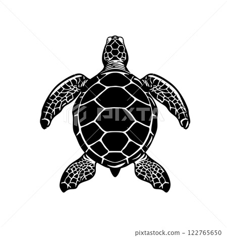 Vector of sea turtle silhouette on white background, Easy editable layere, Undersea animals. 122765650