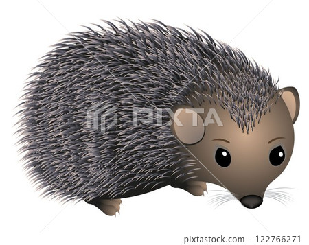 Hedgehog. Hedgehog. 122766271