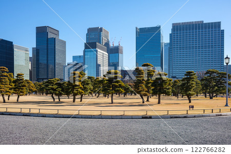 Imperial Palace and Office Towers in Tokyo 122766282