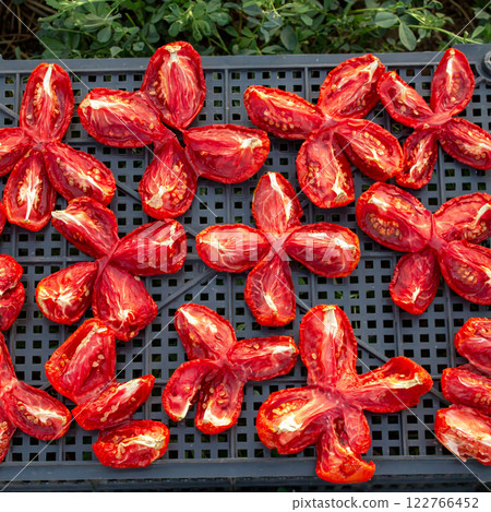 The process of drying tomatoes outdoors for seasoning, for cooking for cooking various dishes The process of drying tomatoes outdoors for seasoning, for cooking for cooking various dishes 122766452