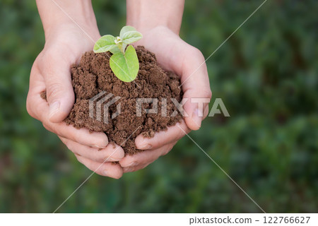 Fried potatoes with spices in a rustic way with a crispy crust 122766627