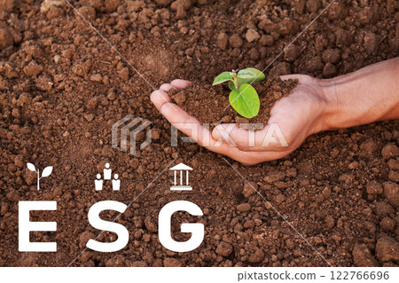 Fried potatoes with spices in a rustic way with a crispy crust 122766696