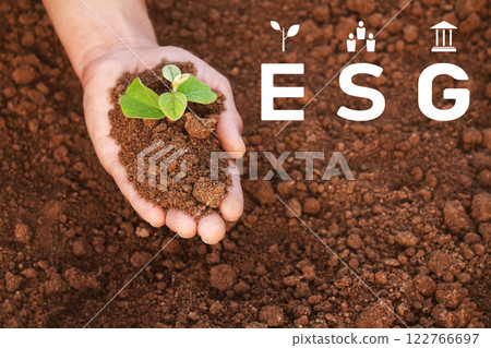 Fried potatoes with spices in a rustic way with a crispy crust 122766697