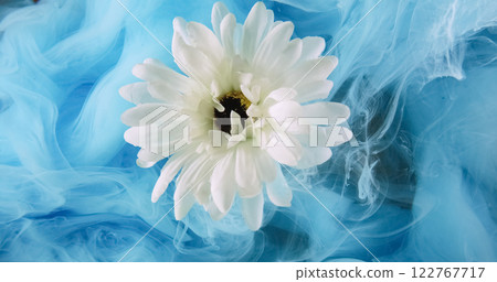Flower smoke. Ink water flow. Blue color mist texture cloud floating over white daisy petals fantasy nature abstract art background. Flower smoke. Ink water flow. Blue color mist texture cloud floating over white daisy petals fantasy nature abstract art background. 122767717