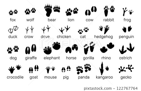 Animals footprints. Black silhouette icons. Paw prints. Birds steps. Predators and herbivores. Mammal tracks with text inscriptions. Different traces. Wildlife fauna trails vector set 122767764