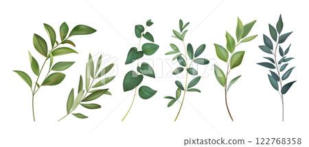 Watercolor leaf. Green flower leaves, watercolour plant branch, wedding tree elements for invitation design. Greenery foliage painting. Natural eucalyptus, spring twig. Vector isolated set Watercolor leaf. Green flower leaves, watercolour plant branch, wedding tree elements for invitation design. Greenery foliage painting. Natural eucalyptus, spring twig. Vector isolated set 122768358