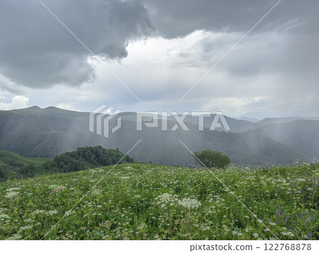 Cloudy Landscape With Mountains and Wildflowers in the Distance. Generative AI Cloudy Landscape With Mountains and Wildflowers in the Distance. Generative AI 122768878