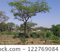 Zimbabwean landscape 122769084