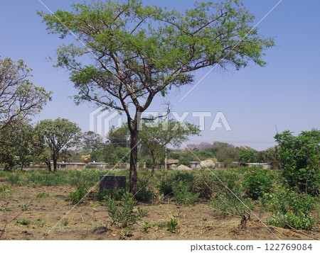 Zimbabwean landscape 122769084