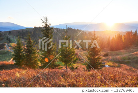 Amazing autumn morning scenery in mountains with meadow and colorful trees on foreground and fog underfoot. National Natural Park Synevyr, Carpathian Mountains, Ukraine. Beautiful autumn background 122769403
