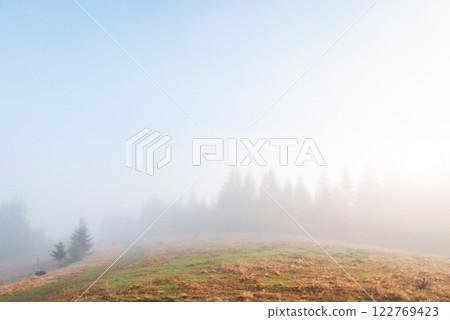 Morning fog creeps with scraps over autumn mountain forest covered in gold leaves Morning fog creeps with scraps over autumn mountain forest covered in gold leaves 122769423