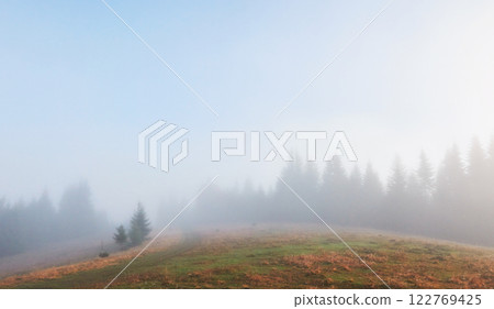 Morning fog creeps with scraps over autumn mountain forest covered in gold leaves 122769425