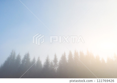 Morning fog creeps with scraps over autumn mountain forest covered in gold leaves 122769426