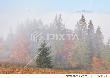 Beautiful morning fog and sunbeams on the mountain slope in the autumn pine forest 122769521