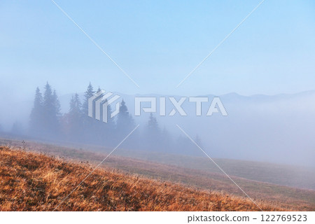 Beautiful morning fog and sunbeams on the mountain slope in the autumn pine forest Beautiful morning fog and sunbeams on the mountain slope in the autumn pine forest 122769523