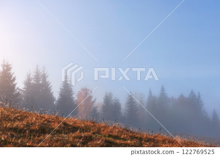 Beautiful morning fog and sunbeams on the mountain slope in the autumn pine forest 122769525