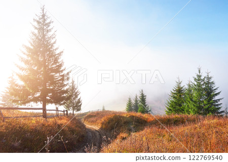 Morning fog creeps with scraps over autumn mountain forest covered in gold leaves 122769540